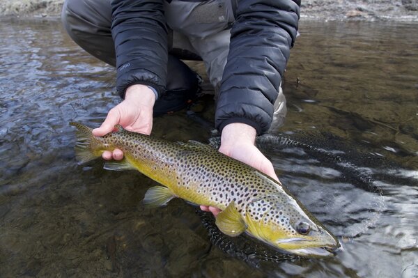 fly fishing guide pocono mountains Pennsylvania  (1768)