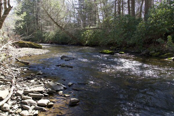 pocono mountains Pennsylvania fly fishing guide jesse filingo (1769)