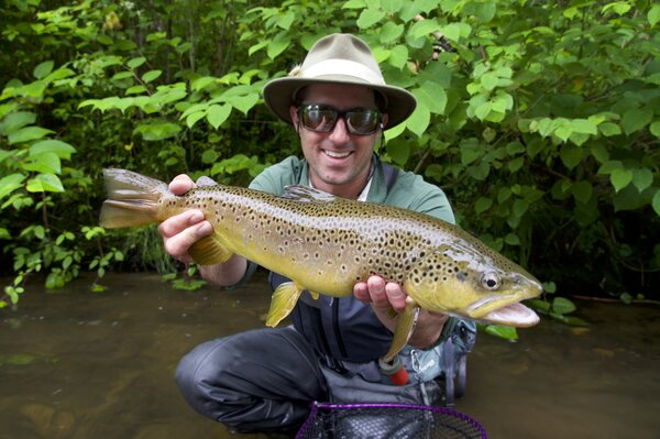 fly fishing delaware river wild trout (1916)