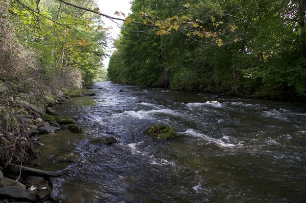 west branch delaware river fly fishing guide (1919)