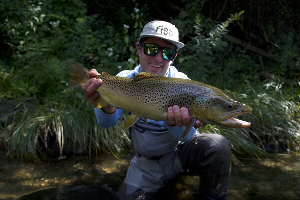 delaware river trout  (1920)