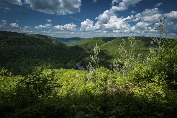 fly fishing the pocono mountains (160)