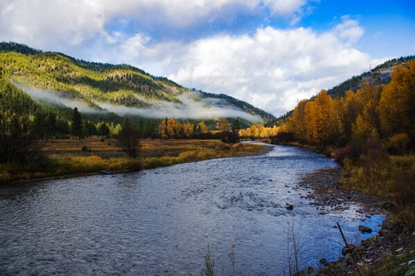 west branch delaware river fly fishing guide (261)