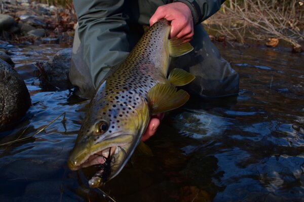 fly fishing the delaware river (52)