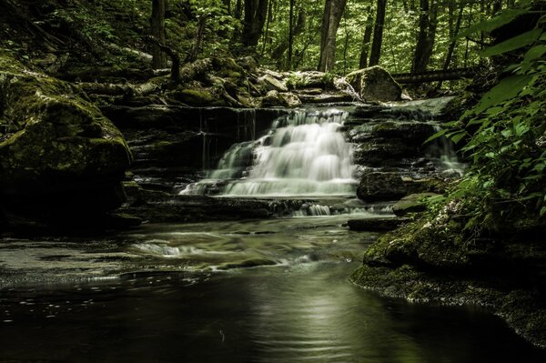 fly fishing the pocono mountains (159)