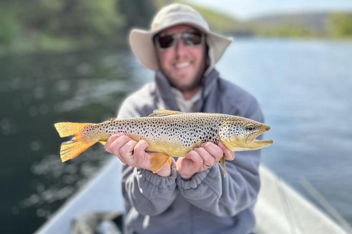 west branch delaware river wild trout upper delaware river trout guide jesse filingo