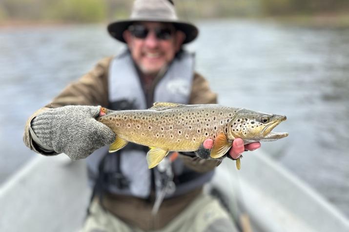 upper delaware river fly fishing trout fishing delaware river