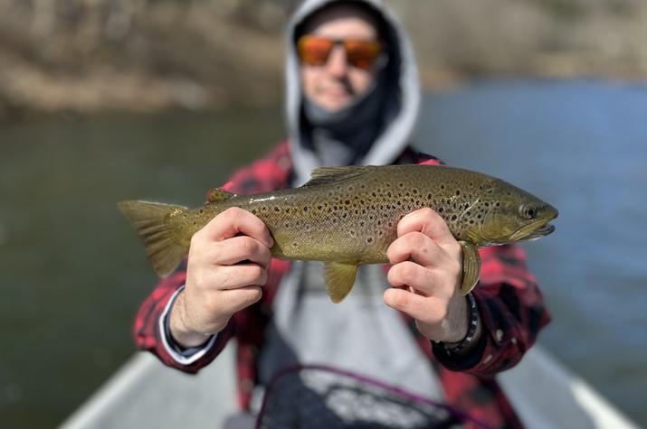 west branch delaware river trout upper Delaware river fly fishing guide jesse filingo