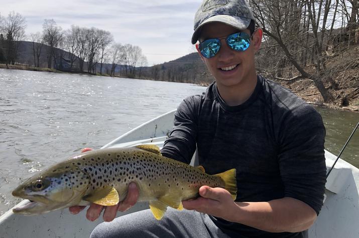guided fly fishing tours on the upper delaware river for wild brown trout with filingo fly fishing