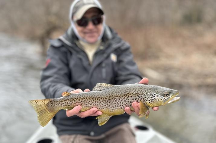 west branch delaware river fly fishing delaware river trout