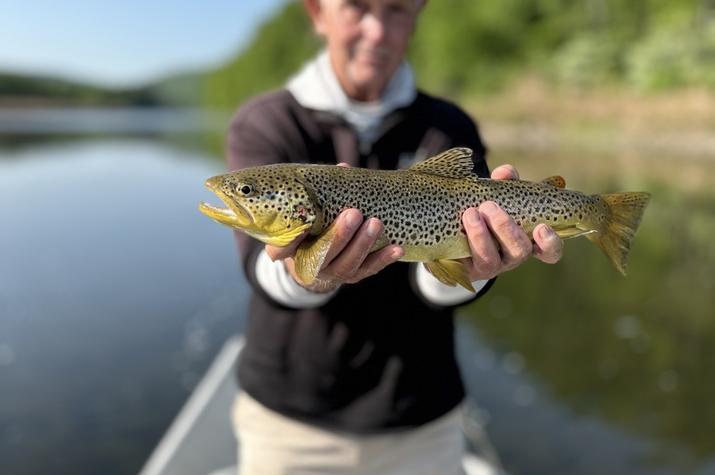 upper delaware river new york fly fishing delaware river