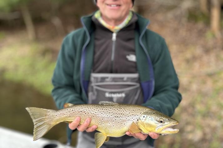 west branch delaware river brown trout upper delaware river new york fishing guide