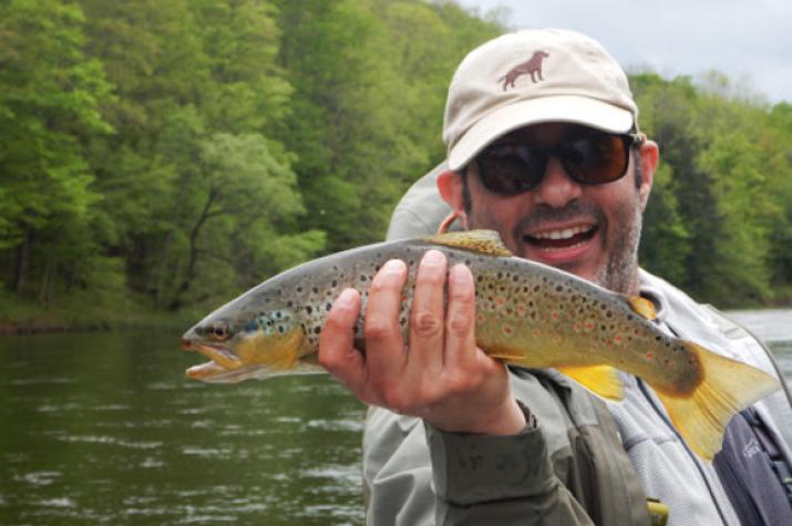 wild brown trout caught on a guided fly fishing trip with jesse filingo of filingo fly fishing on the upper delaware river