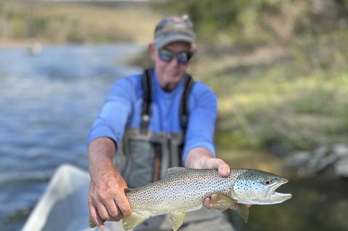 delaware river fly fishing upper delaware river trout