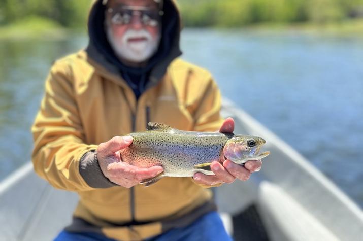 upper delaware river fly fishing