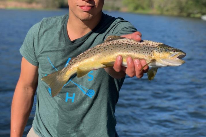 fly fishing the upper delaware river for wild brown trout with jesse filingo of filingo fly fishing