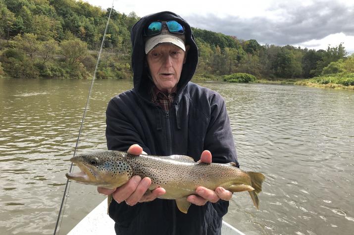 upper delaware river brown trout caught on the west branch of the delaware river with jesse filingo of filingo fly fishing on a guided float trip