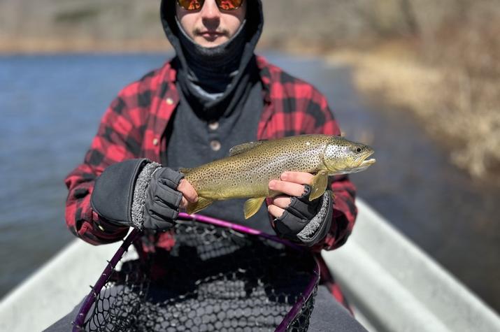 west branch delaware river trout fly fishing delaware river fishing guide jesse filingo