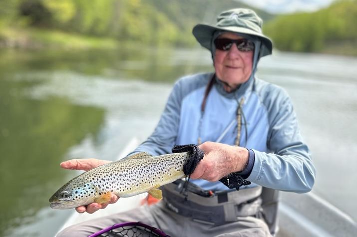 wild delaware river brown trout