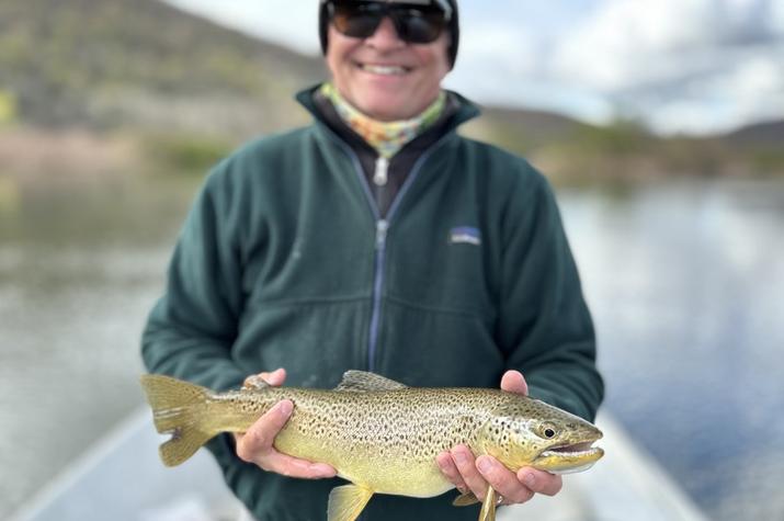 west branch delaware river trout delaware river brown trout