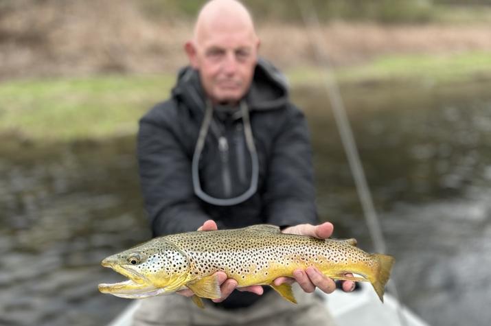 upper delaware river brown trout delaware river new york fishing guide jesse filingo