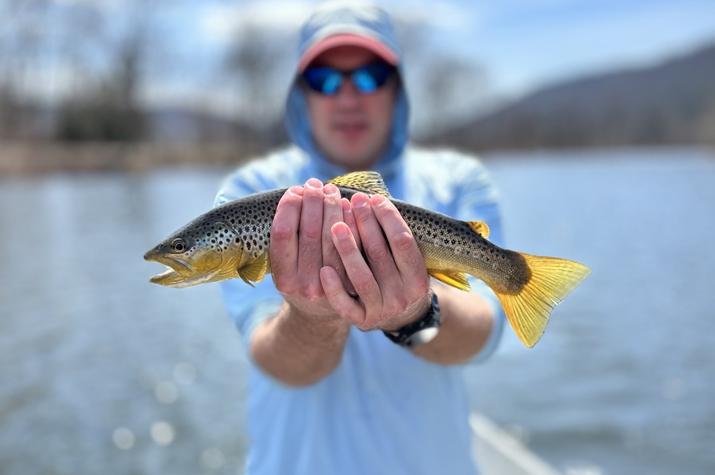 west branch delaware river fly fishing guide delaware river trout