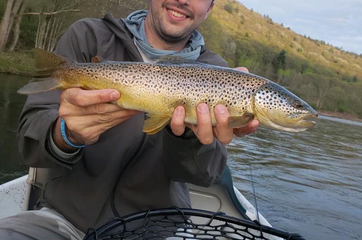 guided fly fishing the upper delaware river for big brown trout with jesse filingo