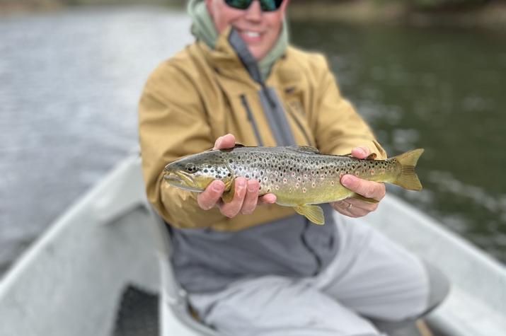 guided fly fishing new york delaware river trout