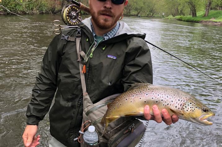 fly fishing for wild brown trout in the pocono mountains with jesse filingo of filingo fly fishing