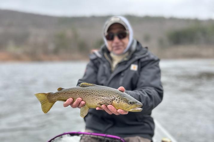 delaware river trout west branch delaware river new york