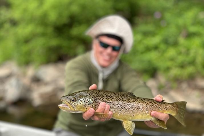 west branch delaware river fly fishing wild brown trout
