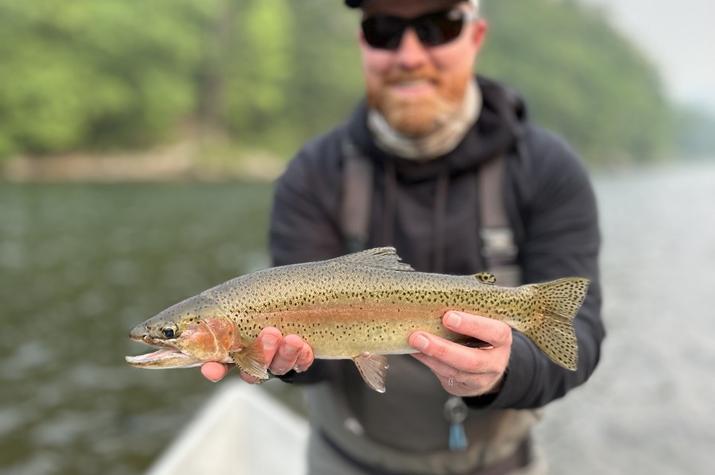 west branch delaware river fly fishing