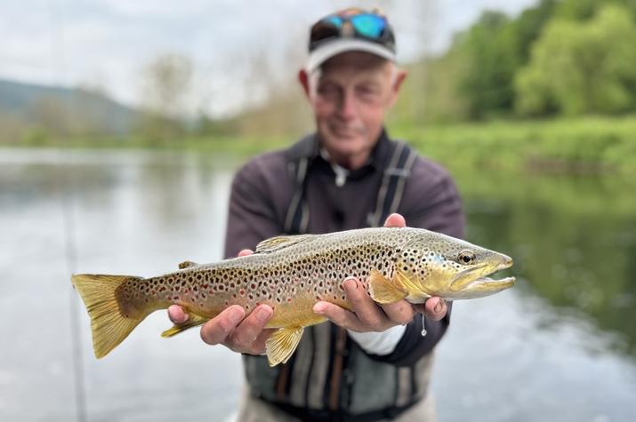 west branch delaware river fly fishing 