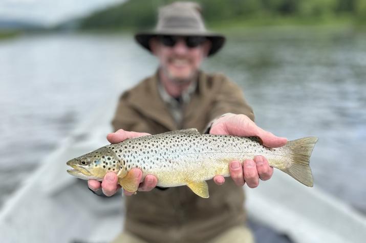 upper delaware river brown trout fly fishing