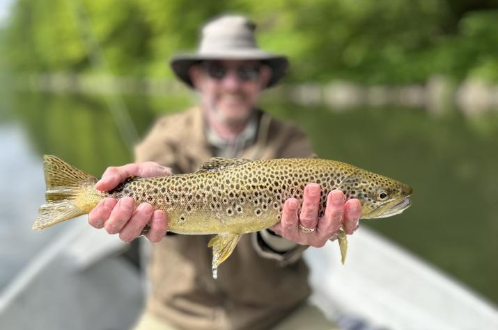 upper delaware river fly fishing brown trout