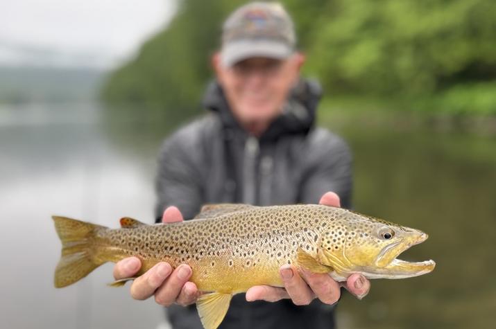 upper delaware river wild trout fly fishing guide jesse filingo