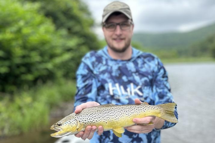 guided fly fishing upper delaware river trout