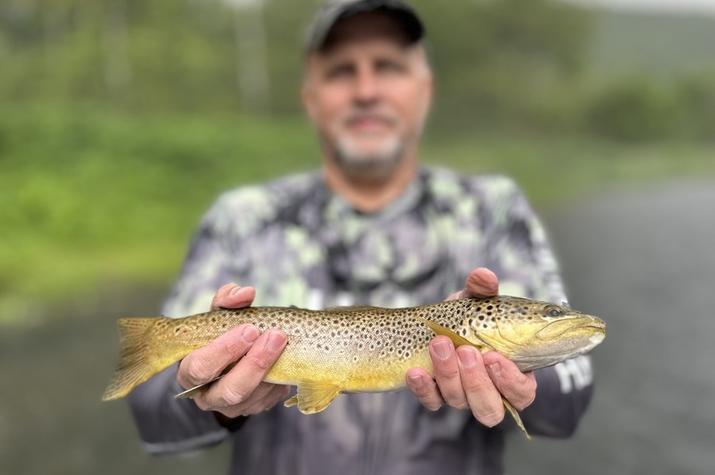 guided fly fishing upper delaware river trout