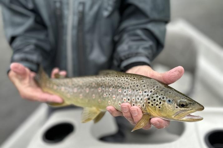 west branch delaware river trout guide jesse filingo