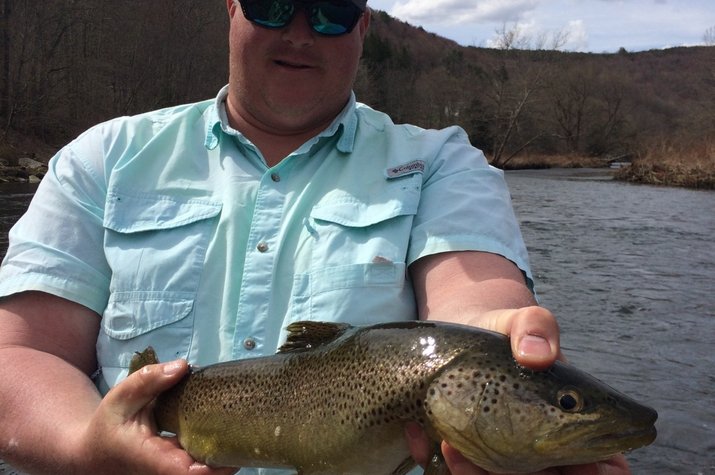 west branch delaware river brown trout caught on a guided fly fishing trip on the delaware river jesse filingo