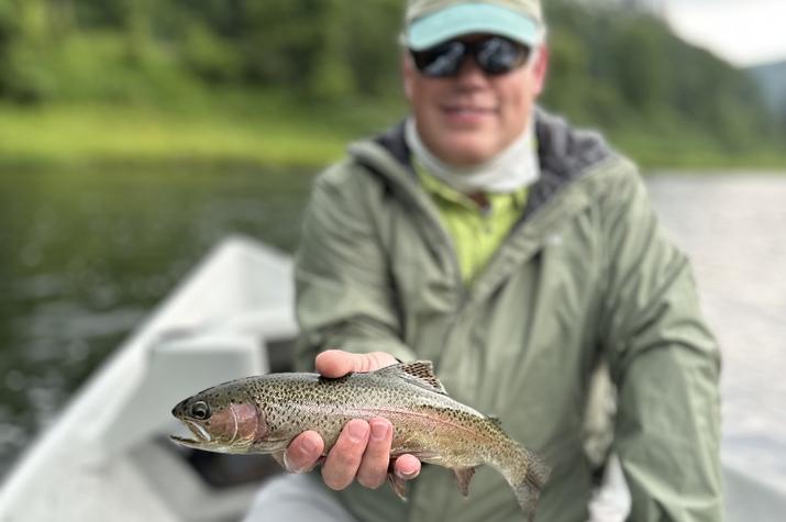 delaware river rainbow trout
