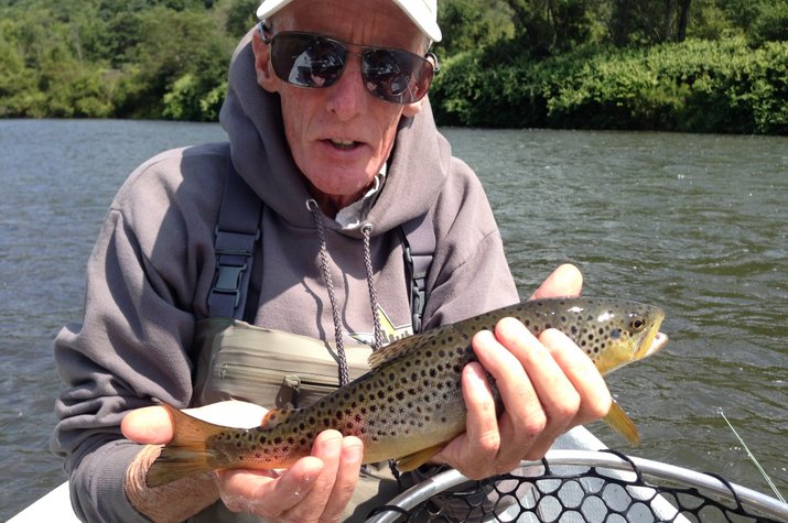 delaware river brown trout caught on a guided fly fishing float trip with jesse filingo of filingo fly fishing