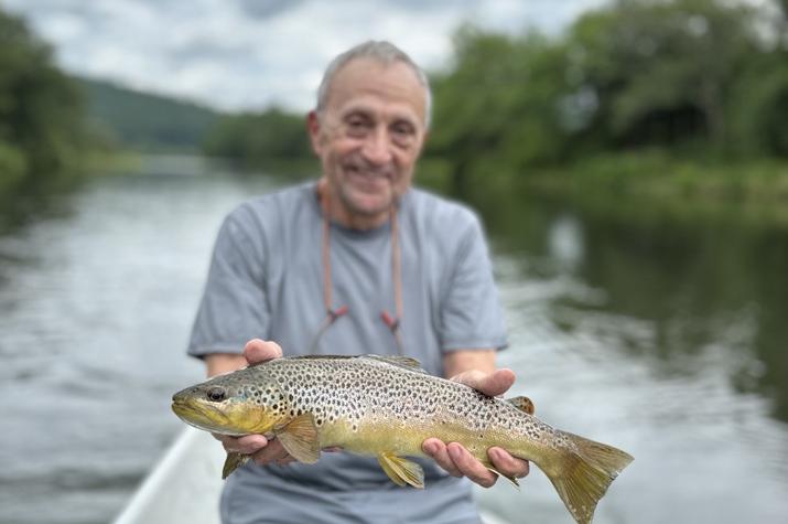 fly fishing west branch delaware river trout