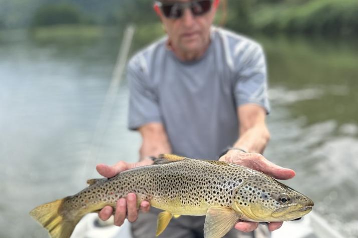 delaware river brown trout fishing guide jesse filingo