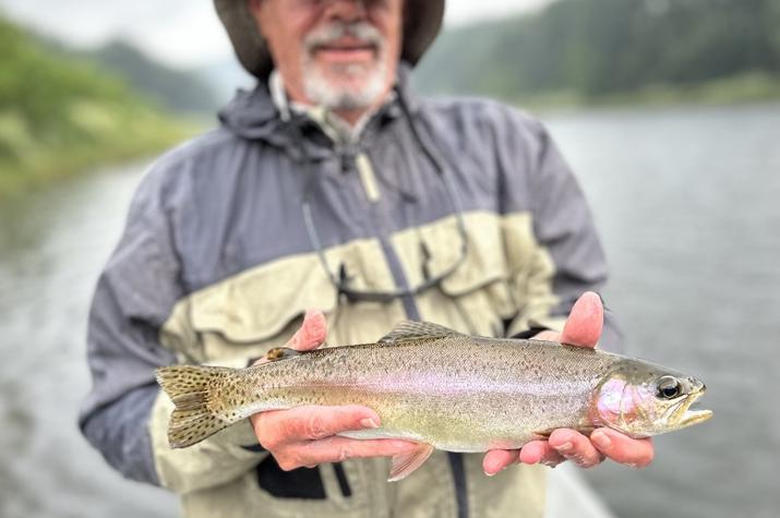 west branch Delaware river fly fishing new york