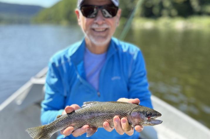 upper delaware river rainbow trout fly fishing delaware river trout