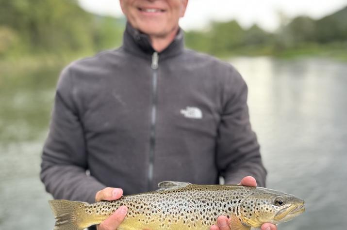 fly fishing west branch delaware river trout