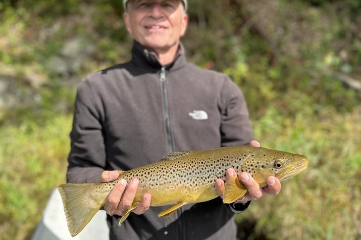 fly fishing the upper delaware river wild trout