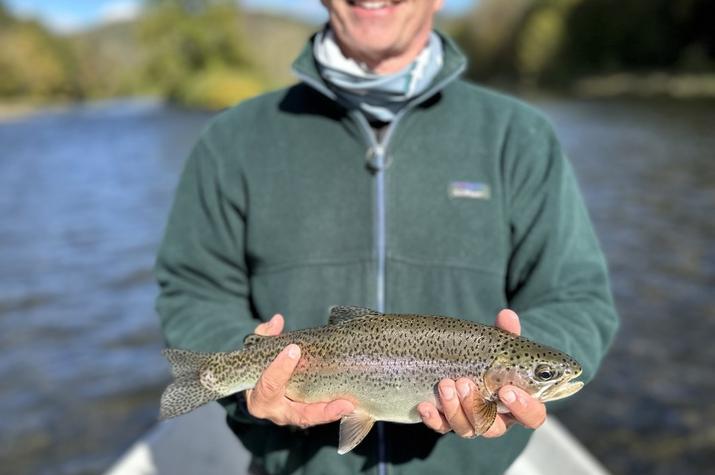 upper delaware river fly fishing guide