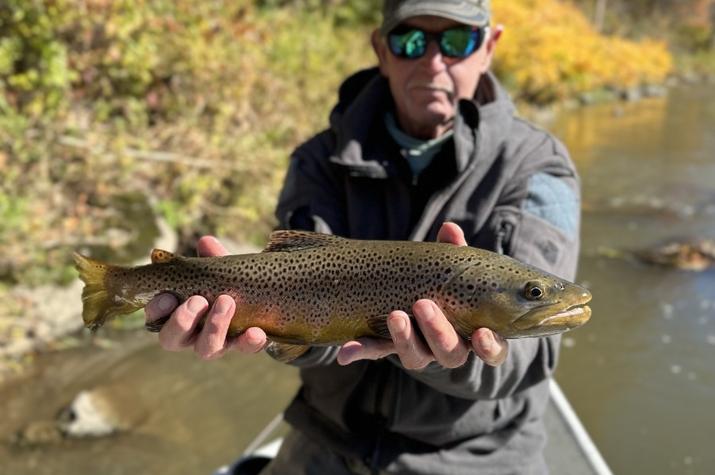 west branch delaware river fly fishing guide